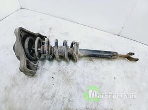 Shock Absorber AUDI A6 (4F2, C6)