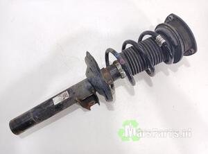 Shock Absorber VW GOLF VII Variant (BA5, BV5), SEAT LEON (5F1), SEAT LEON SC (5F5)