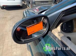 Wing (Door) Mirror JAGUAR X-TYPE Estate (X400)