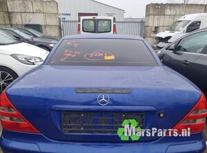 Boot (Trunk) Lid MERCEDES-BENZ SLK (R170)