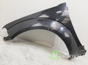 Spatbord NISSAN NP300 NAVARA (D40), NISSAN NP300 NAVARA Platform/Chassis (D40)