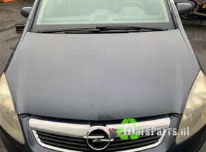 
Motorhaube Opel Zafira B A05 93184414 P21644834
