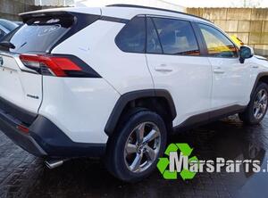 Fuel Tank Filler Flap TOYOTA RAV 4 V (_A5_, _H5_)