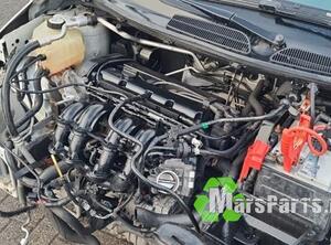 Bare Engine FORD FIESTA VI (CB1, CCN)