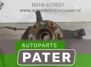 Stub Axle RENAULT VEL SATIS (BJ0_)