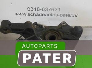 Stub Axle RENAULT VEL SATIS (BJ0_)