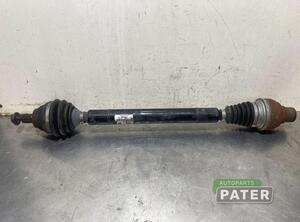 Drive Shaft VW GOLF PLUS (5M1, 521), VW GOLF PLUS Van (521)