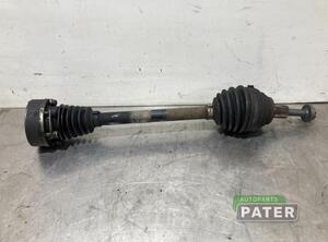 Drive Shaft VW EOS (1F7, 1F8)