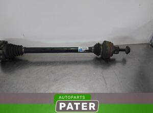 Drive Shaft AUDI Q5 (8RB), AUDI Q5 Van (8RB)