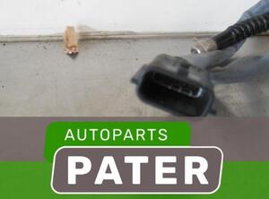 Lambda Sensor / NOx Sensor RENAULT CLIO III Grandtour (KR0/1_)