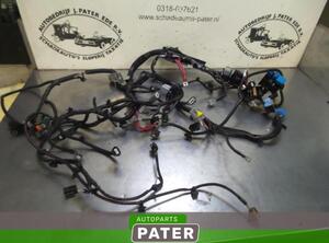 Wiring Harness RENAULT CLIO IV Grandtour (KH_), RENAULT CLIO III Grandtour (KR0/1_)