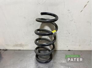 Coil Spring TESLA MODEL 3 (5YJ3)