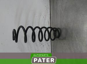 Coil Spring AUDI Q5 (8RB), AUDI Q5 Van (8RB)