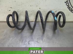 Coil Spring SUZUKI SX4 (EY, GY), SUZUKI SX4 Saloon (GY, RW)