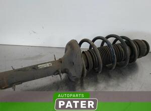 Suspension Strut SEAT TOLEDO II (1M2)