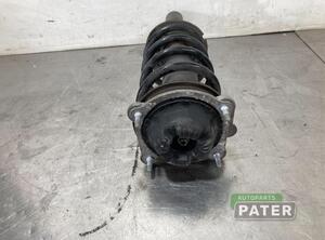 Suspension Strut AUDI A6 (4G2, 4GC, C7)