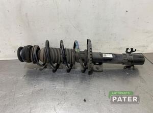 Suspension Strut AUDI A1 (8X1, 8XK), AUDI A1 Sportback (8XA, 8XF)