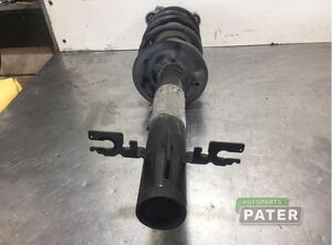 Suspension Strut FIAT DUCATO Platform/Chassis (250_, 290_)