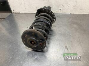 Suspension Strut VOLVO V70 III (135)