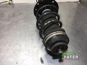 
Federbein links vorne Fiat Panda 312, 319 00519265200 P12552465
