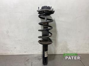 Suspension Strut AUDI A6 Avant (4G5, 4GD, C7)