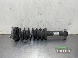 Suspension Strut BMW X3 (F25), BMW X4 (F26)