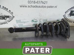 Federbein rechts hinten Nissan Primera Hatchback P12  P6311258