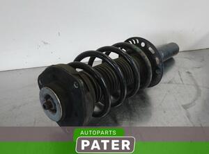 Suspension Strut AUDI A3 (8P1), AUDI A3 Sportback (8PA)