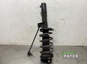 Suspension Strut VW PASSAT B7 Variant (365)