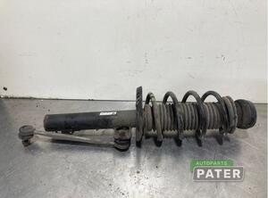 Suspension Strut SKODA FABIA II Combi (545), SKODA ROOMSTER Praktik (5J)