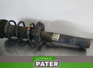 Suspension Strut VW GOLF V Variant (1K5), VW GOLF VI Variant (AJ5)