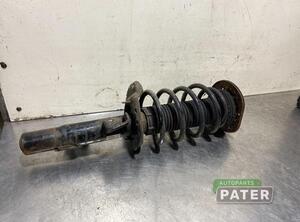 Suspension Strut VOLVO V70 III (135)