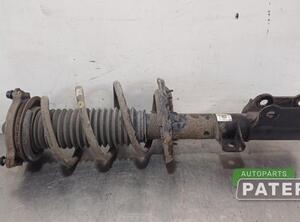 Suspension Strut KIA SPORTAGE (QL, QLE)