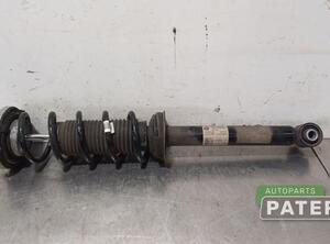 Suspension Strut BMW 5 (G30, F90)