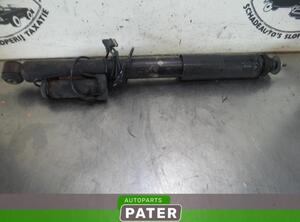 Shock Absorber MERCEDES-BENZ CLS (C219)