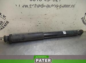 Shock Absorber MERCEDES-BENZ SLK (R171)