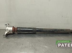 Shock Absorber MERCEDES-BENZ B-CLASS (W246, W242)