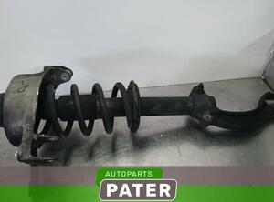 Shock Absorber AUDI Q5 (8RB), AUDI Q5 Van (8RB)