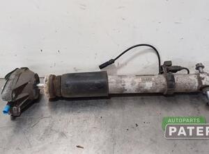 Shock Absorber BMW 4 Coupe (F32, F82)