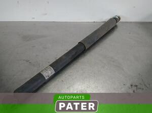 Shock Absorber TOYOTA RAV 4 II (_A2_)