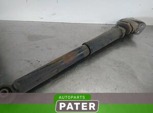 Shock Absorber AUDI A3 (8P1), AUDI A3 Sportback (8PA)