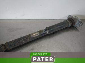 Shock Absorber AUDI A3 (8P1), AUDI A3 Sportback (8PA)