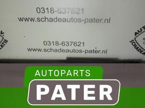 Shock Absorber RENAULT CLIO III (BR0/1, CR0/1)