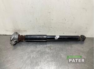 Shock Absorber VW GOLF V (1K1), VW GOLF VI (5K1), VW GOLF VAN VI Variant (AJ5), VW GOLF VI Van (5K1_)