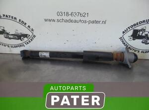 Shock Absorber AUDI A1 (8X1, 8XK), AUDI A1 Sportback (8XA, 8XF)