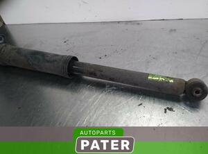 Shock Absorber CHEVROLET AVEO / KALOS Saloon (T250, T255)