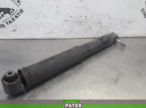 Shock Absorber RENAULT MEGANE III Grandtour (KZ0/1)