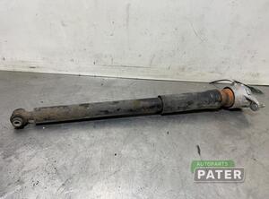 Shock Absorber MERCEDES-BENZ B-CLASS (W246, W242)