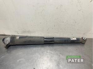 Shock Absorber VW GOLF VII Variant (BA5, BV5)