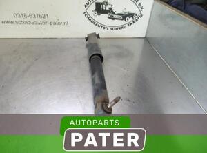 Shock Absorber RENAULT SCÉNIC II (JM0/1_)